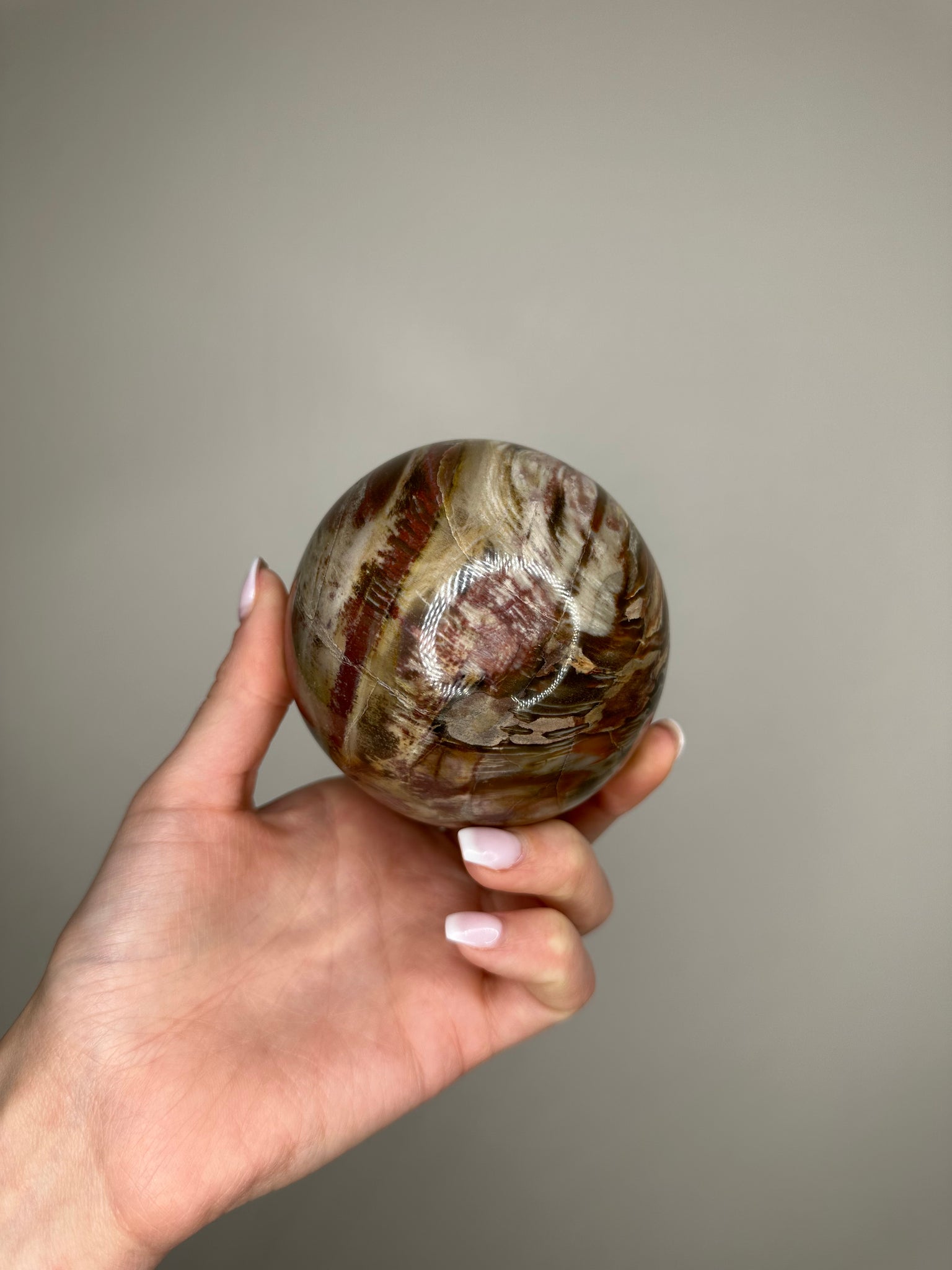 Petrified Wood Sphere