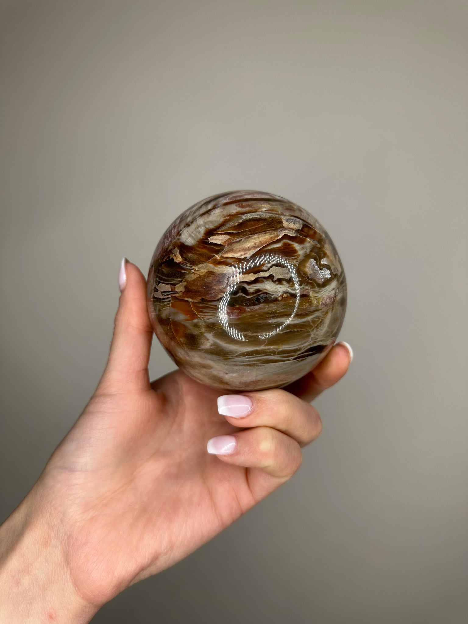 Petrified Wood Sphere
