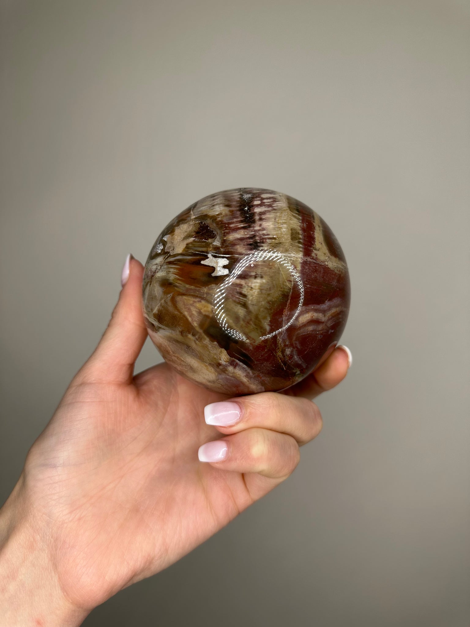 Petrified Wood Sphere