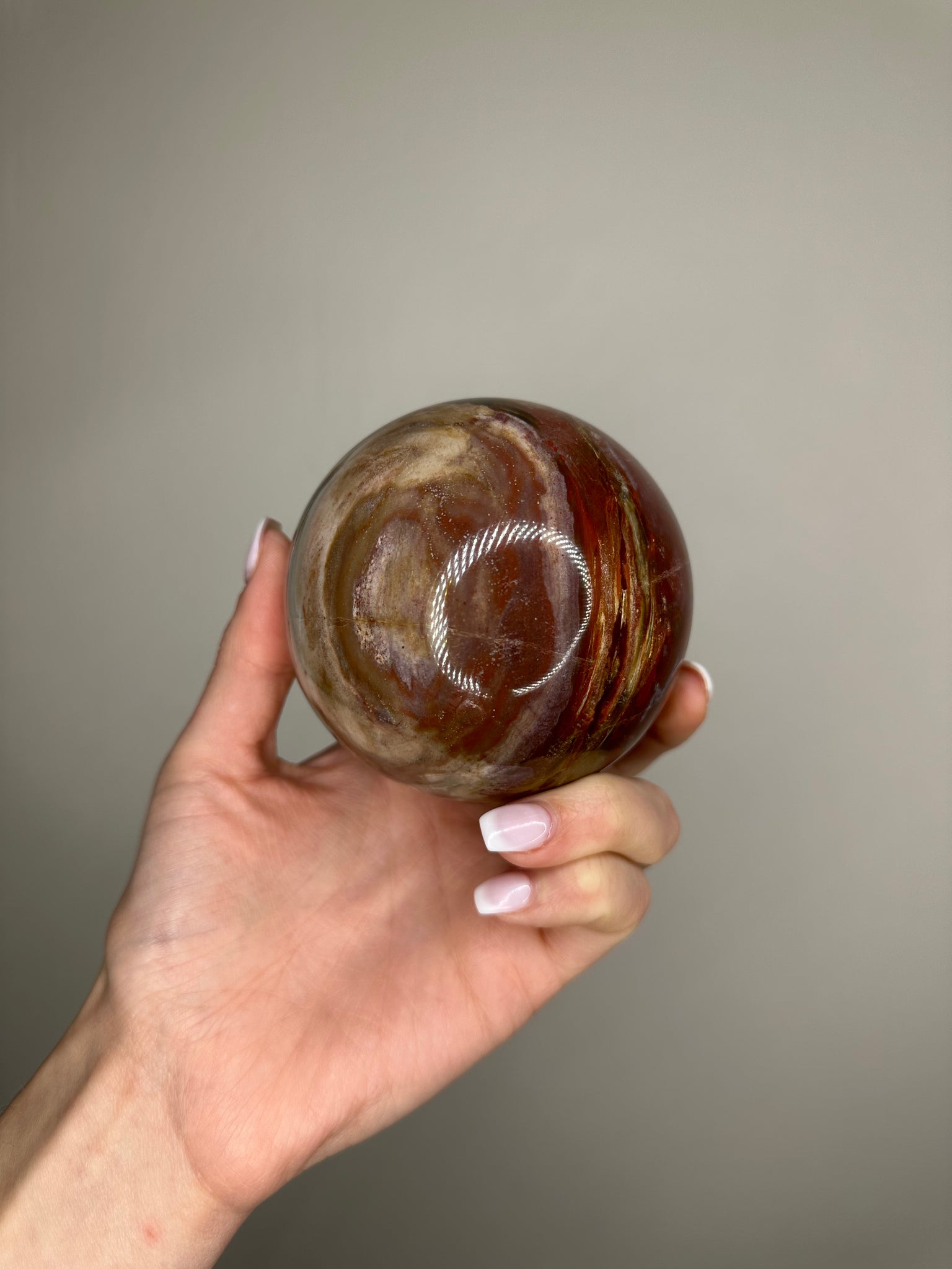 Petrified Wood Sphere