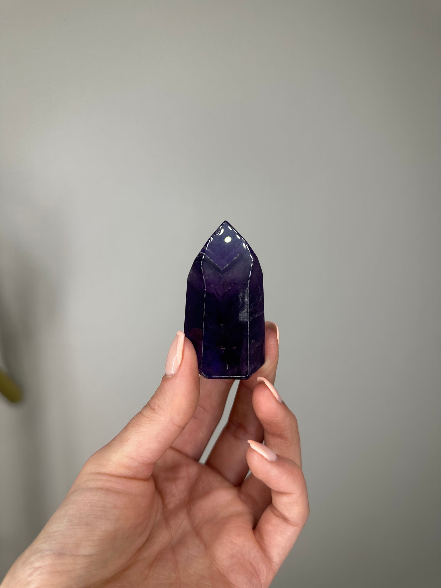 Brazilian Amethyst Root Point