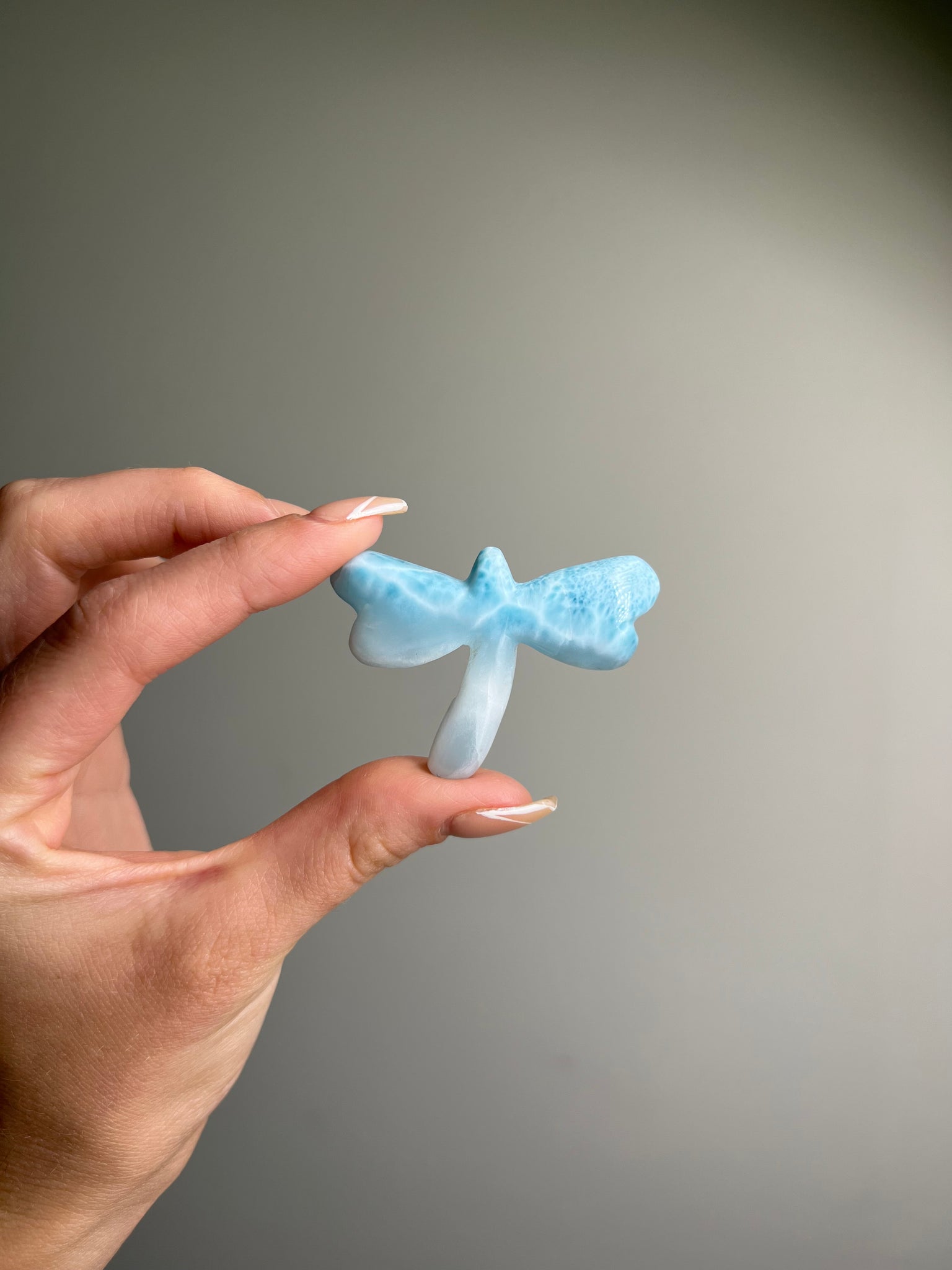 Larimar Dragonfly