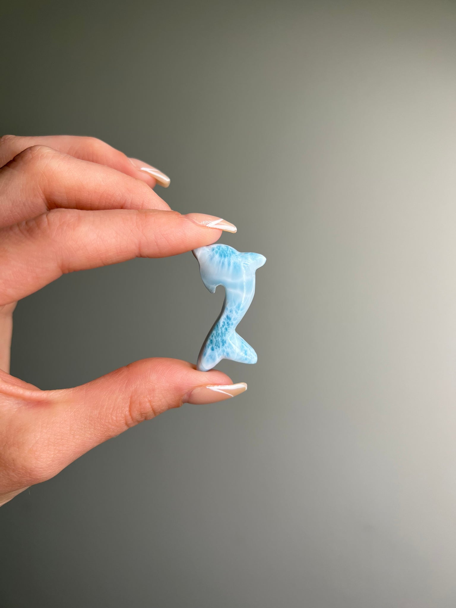 Larimar Dolphin