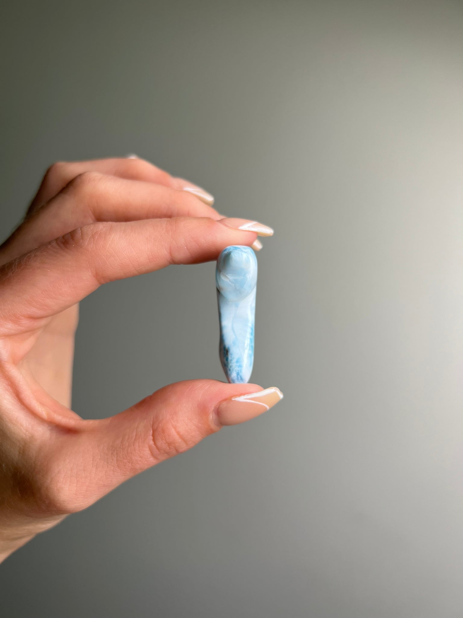 Larimar Dolphin